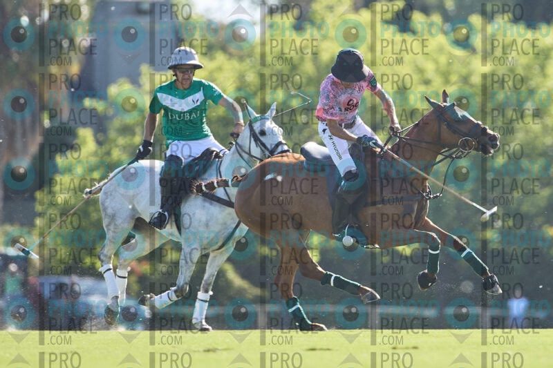 0185-R6-IMG_1373