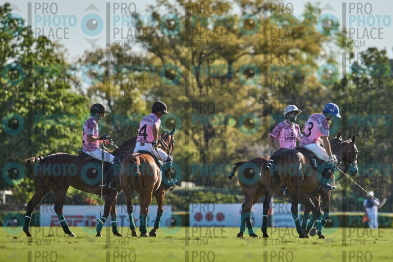 0453-R6-IMG_1721
