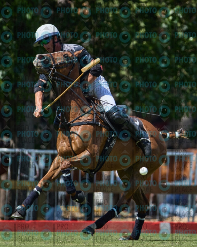 0175-R6-IMG_6575