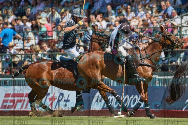 0177-R6-IMG_6583