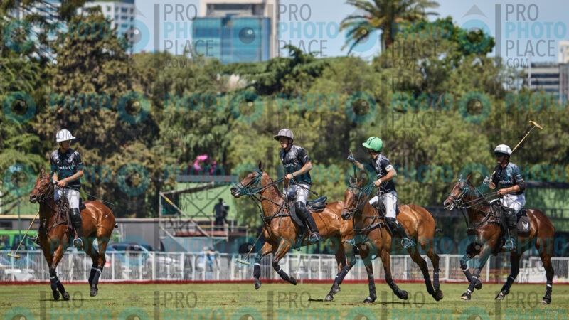 0233-R6-IMG_6639