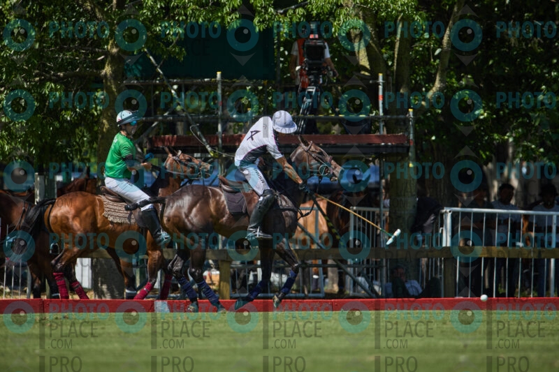 0302-R6-IMG_6722