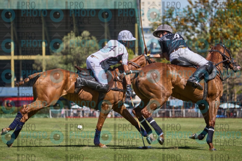 0339-R6-IMG_6798