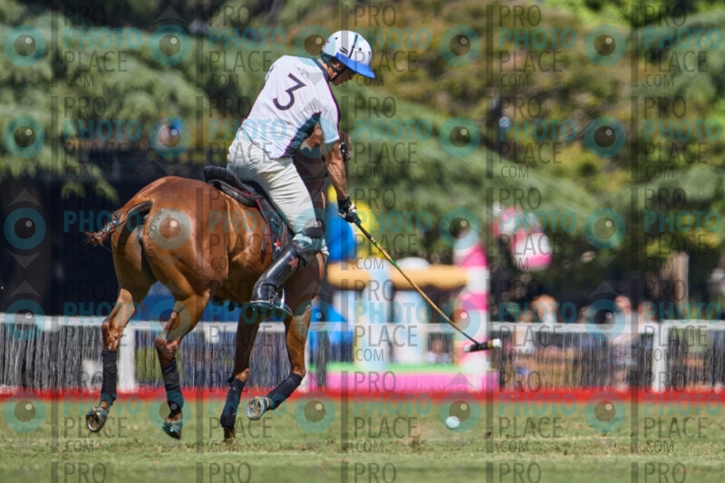 0347-R6-IMG_6817
