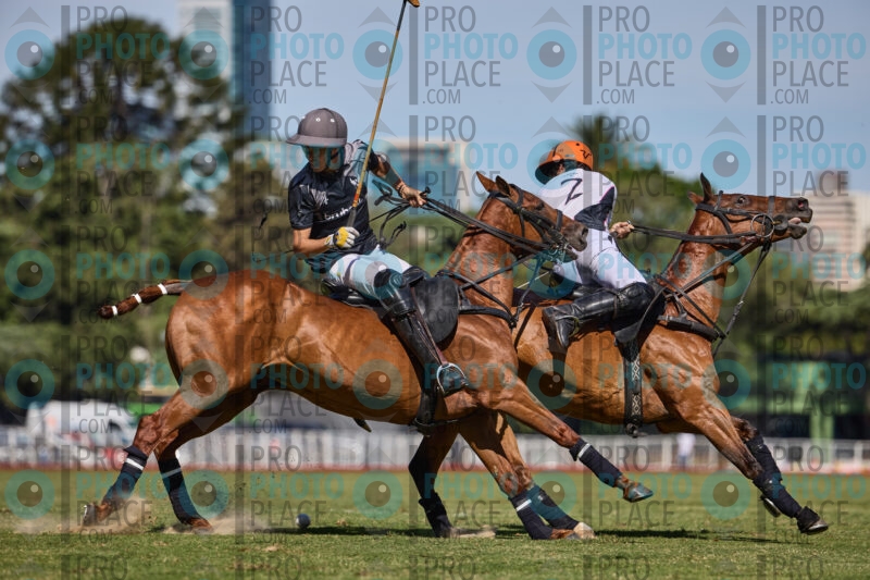 0463-R6-IMG_7021