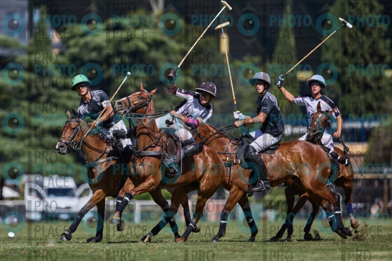 0488-R6-IMG_7052