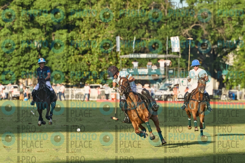 R6-IMG_9234