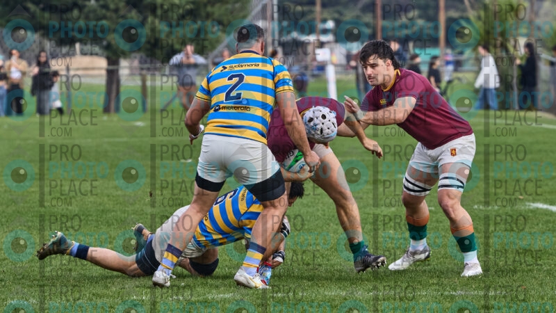 0142-R7-IMG_15210