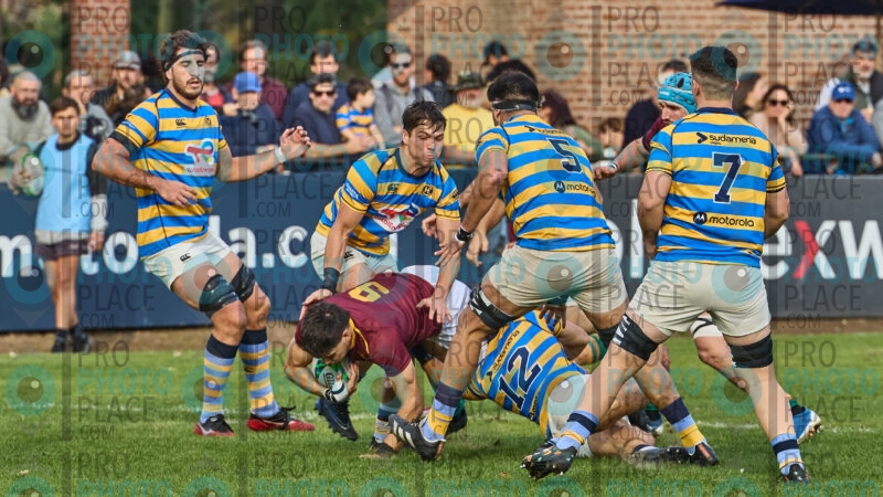 0145-R7-IMG_15241