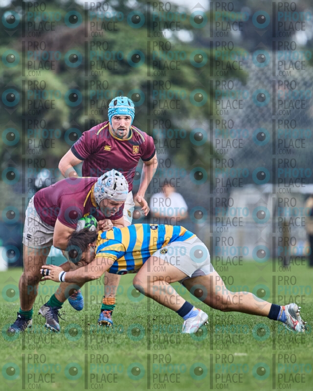 0161-R6-IMG_09575