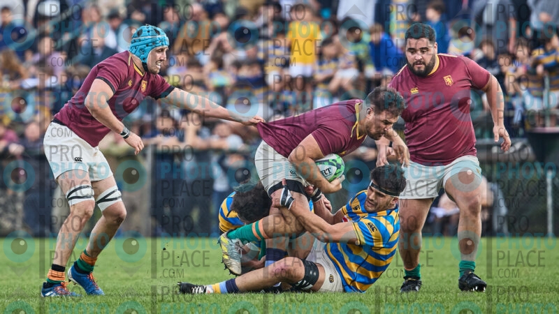 0170-R6-IMG_09609