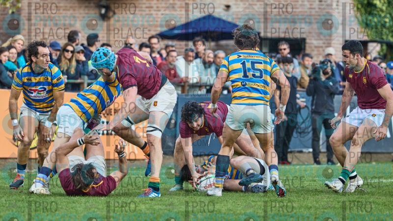 0188-R6-IMG_09668