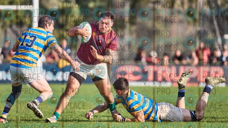 0240-R6-IMG_09823