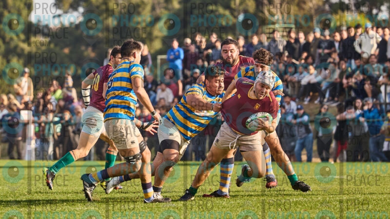 0269-R6-IMG_09874