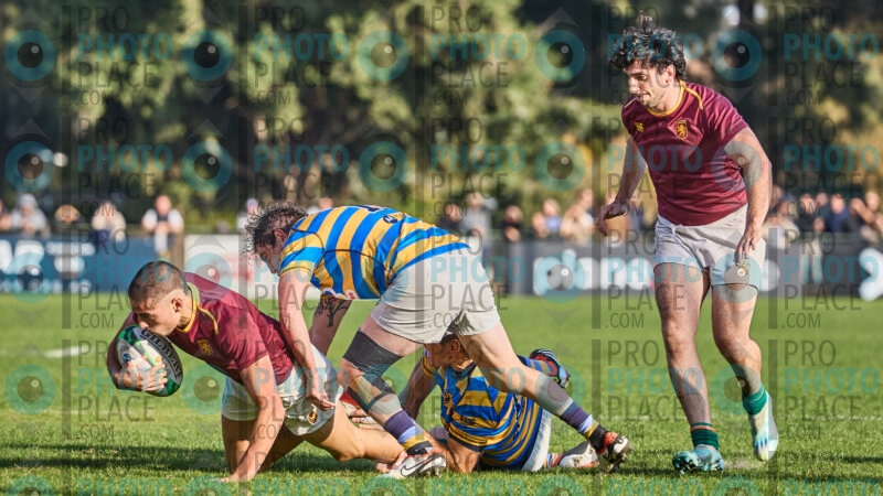 0294-R6-IMG_09929