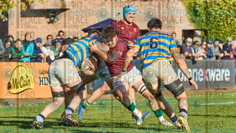 0383-R7-IMG_15284