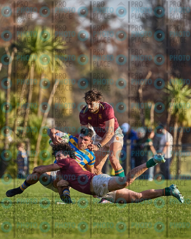 0392-R6-IMG_10178
