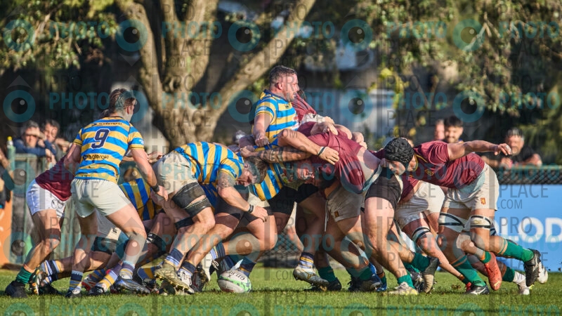 0410-R6-IMG_10280