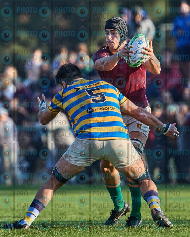 0459-R6-IMG_10394