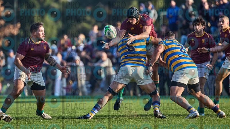 0460-R6-IMG_10396