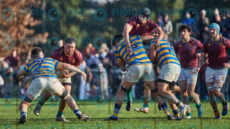 0463-R6-IMG_10399