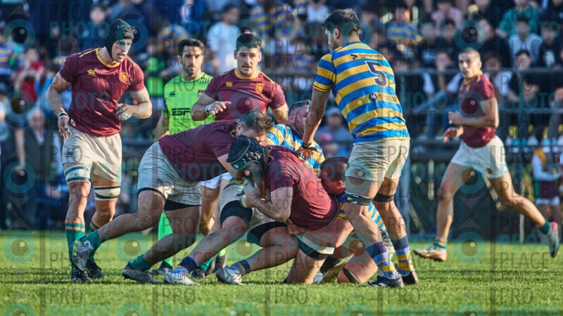 0594-R6-IMG_10659