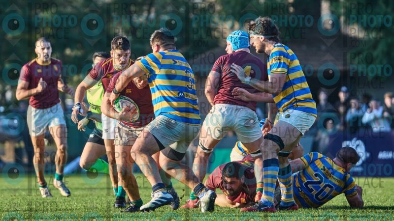0657-R6-IMG_10813