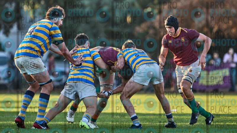 0835-R6-IMG_11186