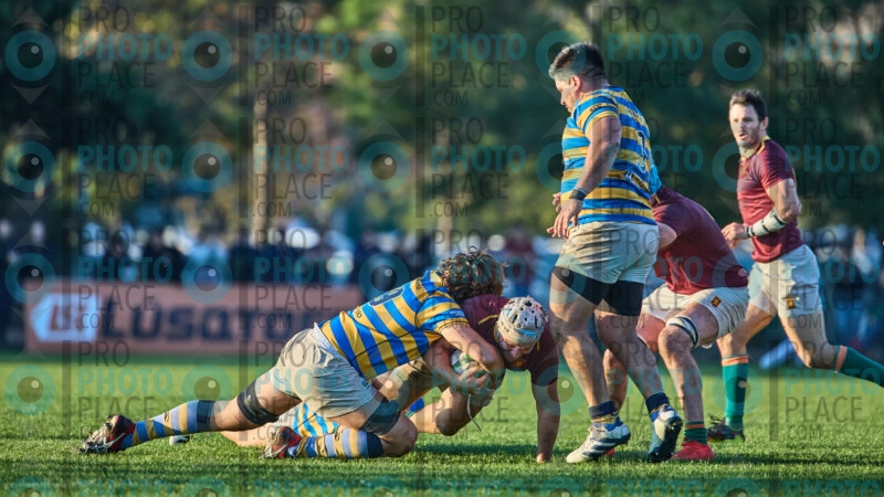 0862-R6-IMG_11228