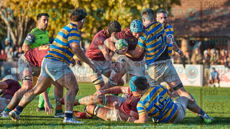 0883-R6-IMG_11250