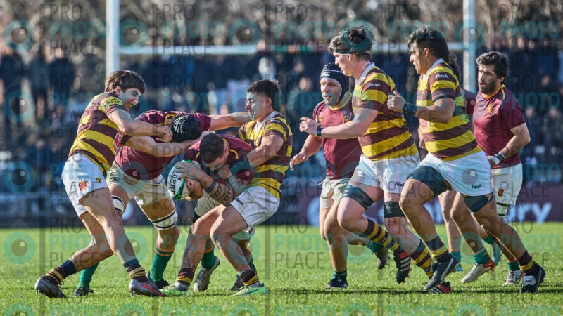 0217-R6-IMG_4575
