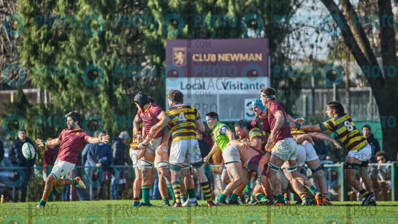 0264-R6-IMG_4628
