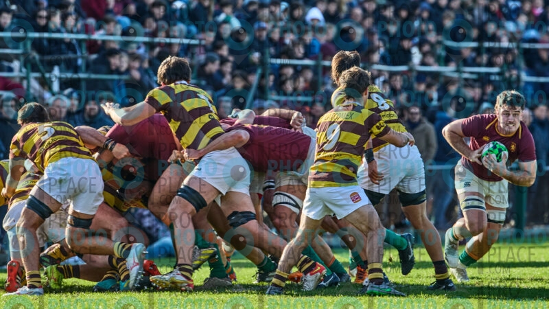 0419-R6-IMG_4831