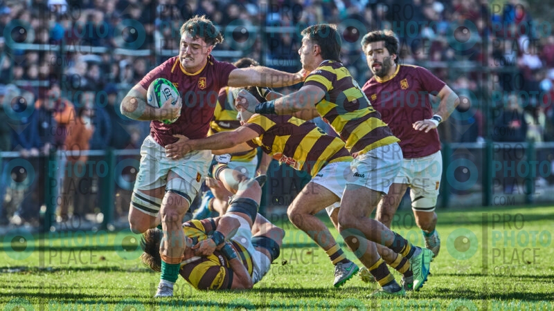 0441-R6-IMG_4853