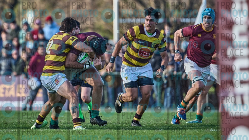 0616-R6-IMG_5068
