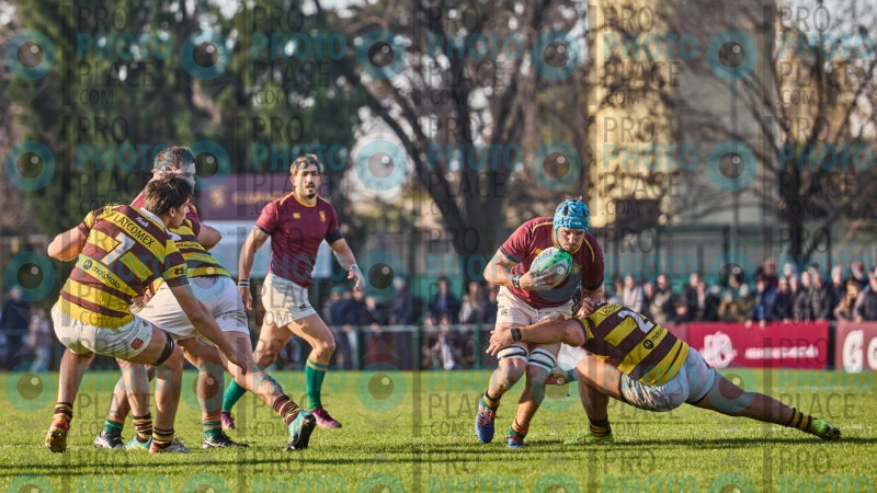 0669-R6-IMG_5131