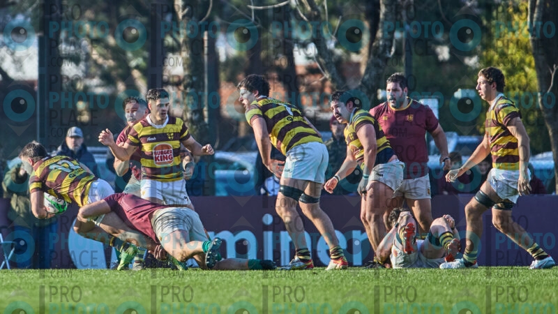 0787-R6-IMG_5324