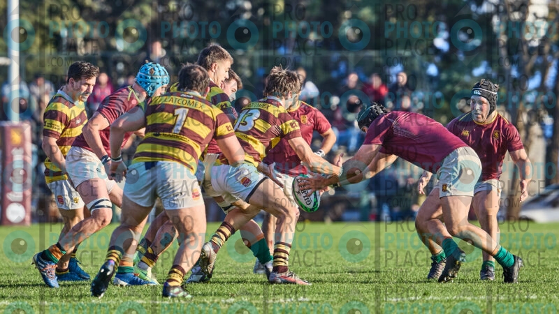 1114-R6-IMG_5685