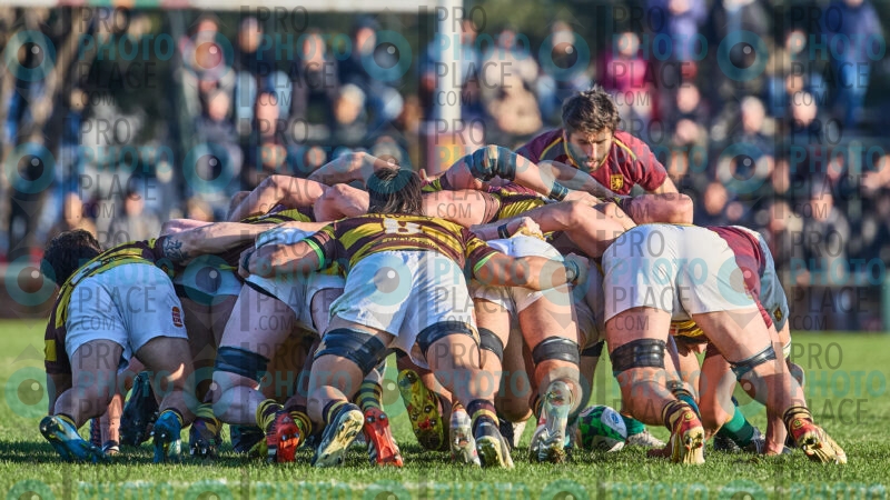 1121-R6-IMG_5694
