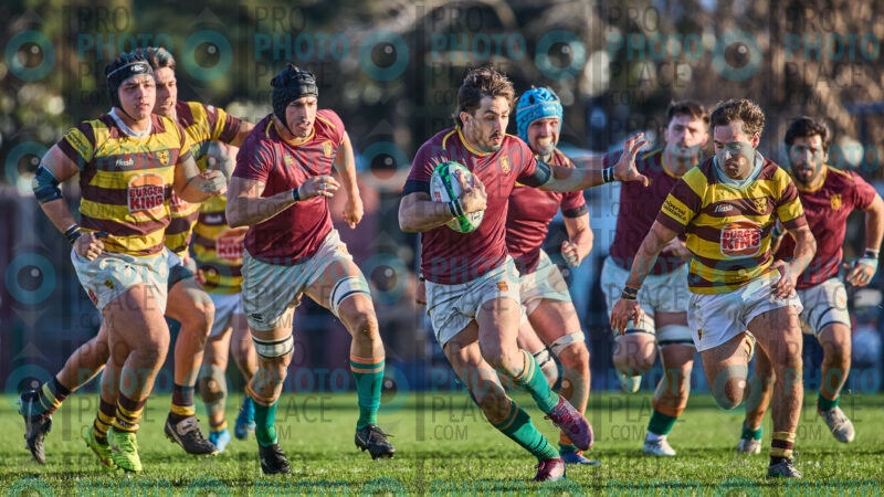 1136-R6-IMG_5709