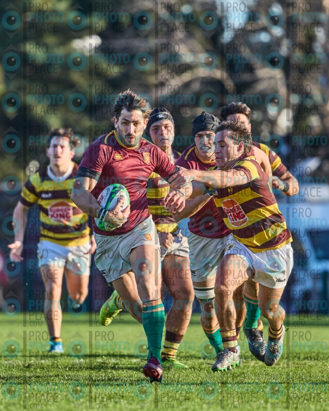 1139-R6-IMG_5712