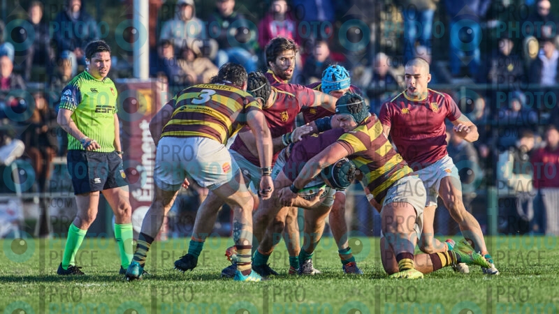 1376-R6-IMG_6039