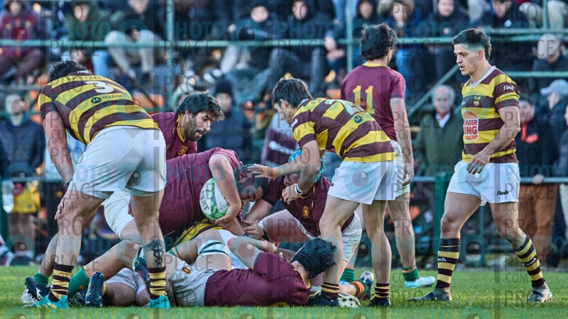 1484-R6-IMG_6192