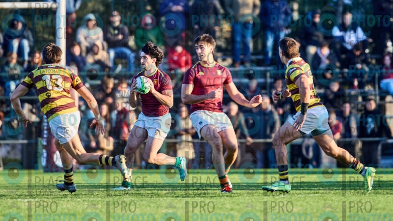 1596-R6-IMG_6346