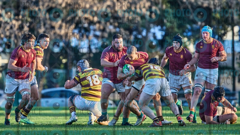 1633-R6-IMG_6386