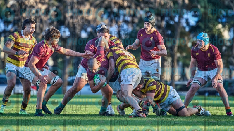 1642-R6-IMG_6395