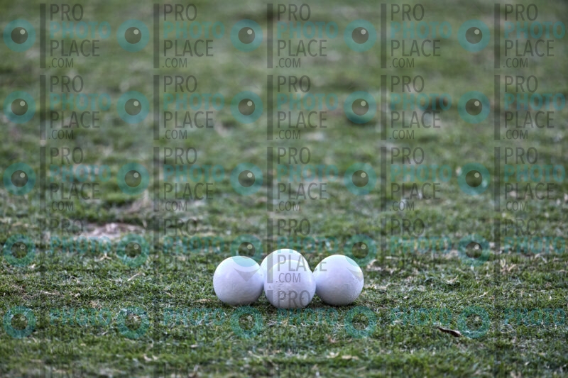 0784-R6-IMG_1318