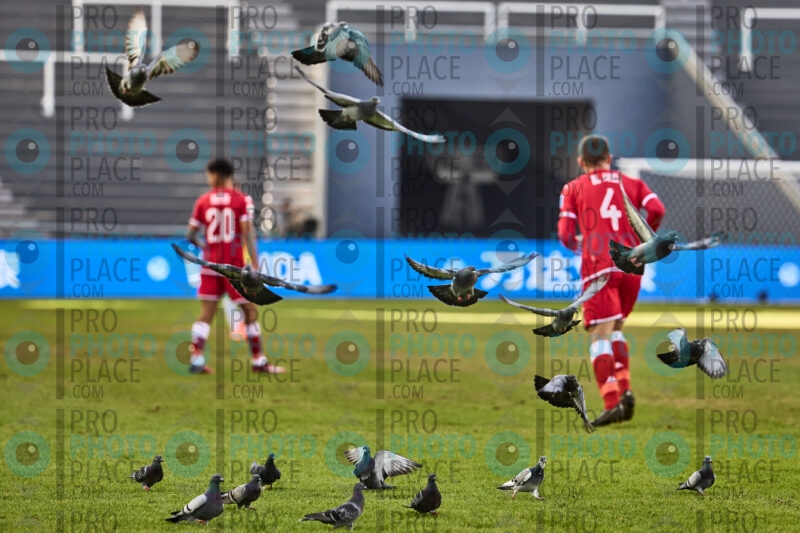 0334-R6-IMG_6608