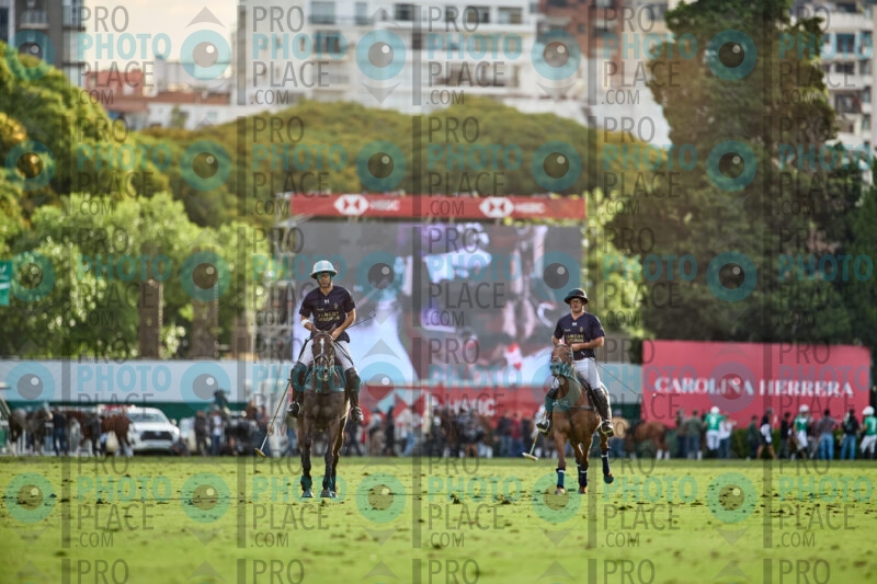 1141-R6-IMG_5231