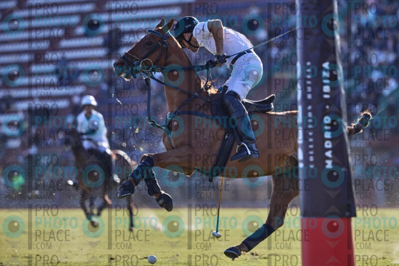 0669-R6-IMG_1930